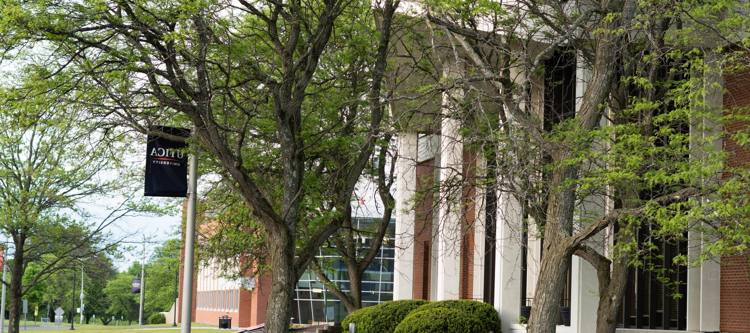 两棵树, 满是绿叶, 在一个温暖的日子里，利记sbo的横幅矗立在甘尼特图书馆前，背后是科学中心.